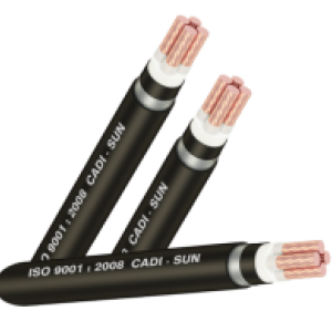 Cáp đồng ngầm 4 lõi DTSA4x