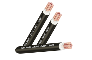 Cáp đồng 4 lõi bọc lớp cách điện XLPE 3x+1 - CXV3x+1